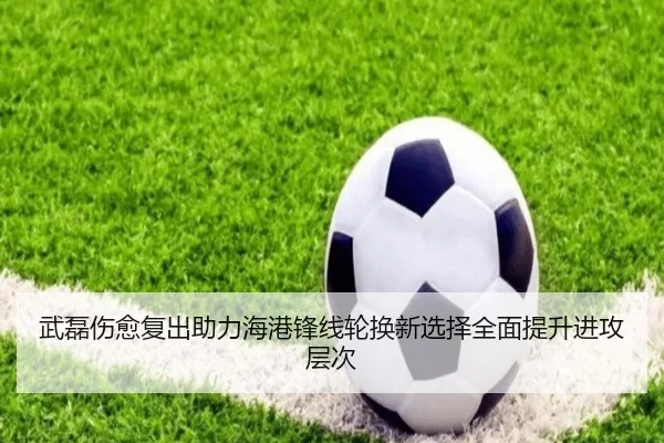 武磊伤愈复出助力海港锋线轮换新选择全面提升进攻层次 | BOYUSport